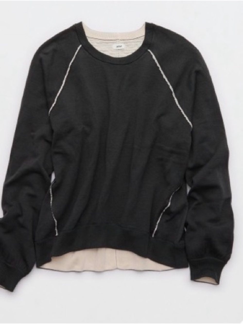 Aerie Sweatshirt Sweater BNWT